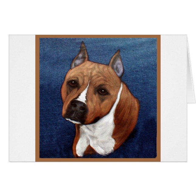 American Staffordshire Terrier (Vorderseite (Horizontal))