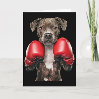 American Staffordshire Terrier Boxen  Karte