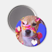 American Staffordshire Terrier Boxer Mix Puppy Dog Magnet (Vorderseite/Rückseite)