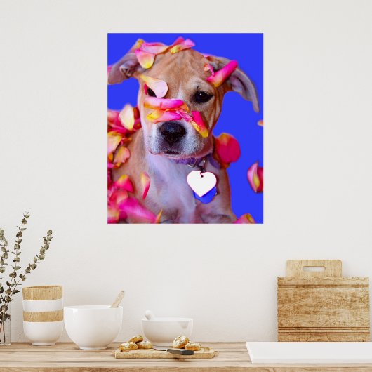 American Staffordshire Terrier Boxer Mix Puppy Dog Poster (Küche)