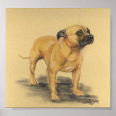 "American Staffordshire Terrier" Dog Art Print Poster (Vorne)