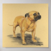 "American Staffordshire Terrier" Dog Art Print