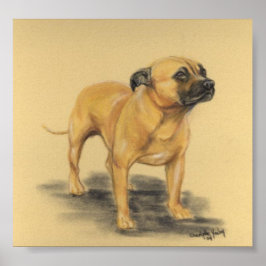 "American Staffordshire Terrier" Dog Art Print Poster