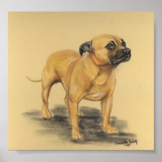 "American Staffordshire Terrier" Dog Art Print Poster (Vorne)
