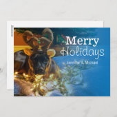 American Staffordshire Terrier Feiertagskarte (Vorne/Hinten)