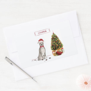 American Staffordshire Terrier Funny Christmas Dog Rechteckiger Aufkleber