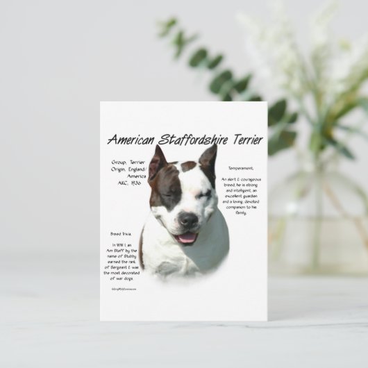American Staffordshire Terrier History, Postkarte (Stehend Vorderseite)
