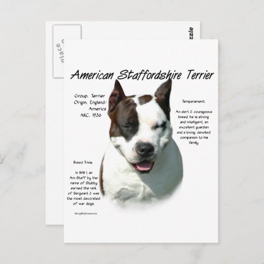 American Staffordshire Terrier History, Postkarte (Vorne/Hinten)