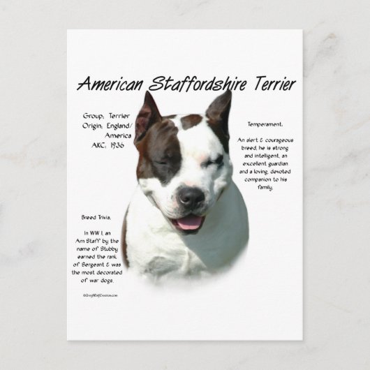 American Staffordshire Terrier History, Postkarte (Vorderseite)