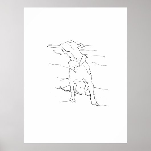 American Staffordshire Terrier Illustration Poster (Vorne)