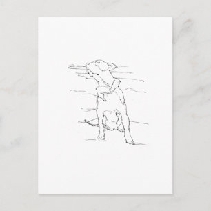 American Staffordshire Terrier Illustration Postkarte