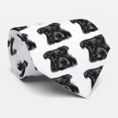 American Staffordshire Terrier Krawatte (Gerollt)