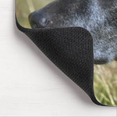 American Staffordshire Terrier Mouse Pad Mousepad (Ecke)