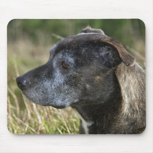 American Staffordshire Terrier Mouse Pad Mousepad (Vorne)