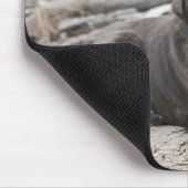 American Staffordshire Terrier - Mousepad (Ecke)
