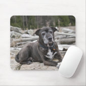 American Staffordshire Terrier - Mousepad (Mit Mouse)