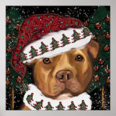 American Staffordshire Terrier Poster (Vorne)