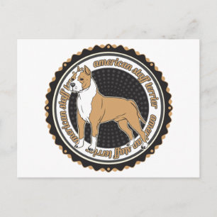 American Staffordshire Terrier Postkarte