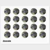American Staffordshire Terrier Stickers (Blatt)