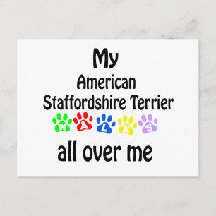 American Staffordshire Terrier Walks Design Postkarte