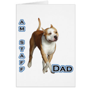 American Staffordshire Vater 4