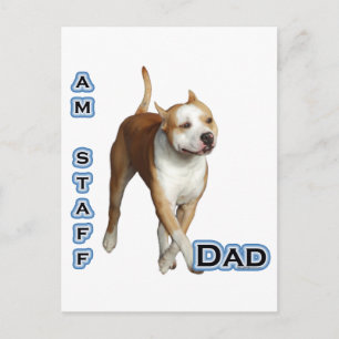 American Staffordshire Vater 4 Postkarte