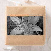 American Tiger Lily (Insitu)