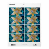 American Tiger Lily (Vorne)