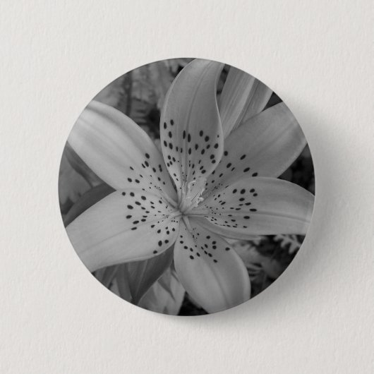 American Tiger Lily Button (Vorderseite)