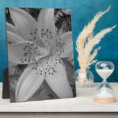 American Tiger Lily Fotoplatte (Seite)
