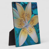 American Tiger Lily Fotoplatte (Seite)