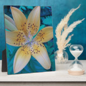 American Tiger Lily Fotoplatte (Seite)