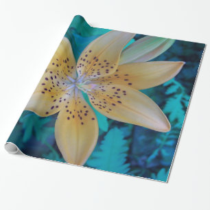 American Tiger Lily Geschenkpapier