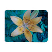 American Tiger Lily Magnet (Horizontal)