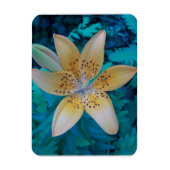 American Tiger Lily Magnet (Vertikal)