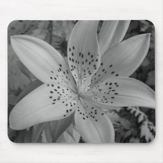 American Tiger Lily Mousepad (Vorne)