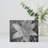 American Tiger Lily Postkarte (Stehend Vorderseite)