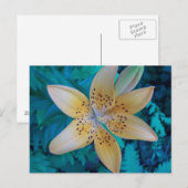 American Tiger Lily Postkarte (Vorne/Hinten)