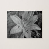 American Tiger Lily Puzzle (Horizontal)