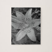 American Tiger Lily Puzzle (Vertikal)
