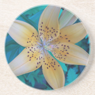 American Tiger Lily Sandstein Untersetzer