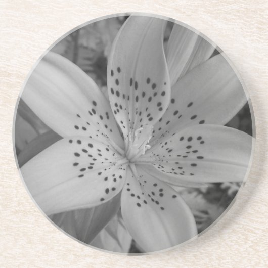 American Tiger Lily Untersetzer (Vorne)