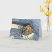 American Toad Blank Jedes Anlasses Karte (Gelbe Blume)