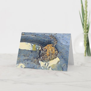 American Toad Blank Jedes Anlasses Karte