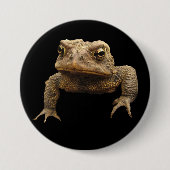 American Toad Button (Vorderseite)