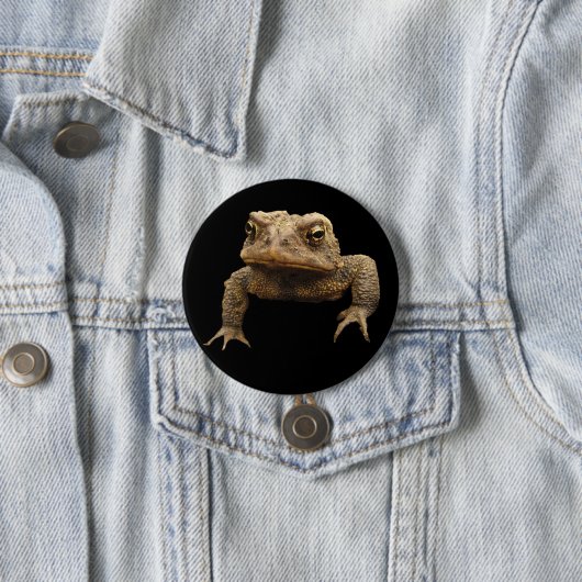 American Toad Button (Beispiel)