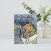 American Toad Digital Painting Postkarte (Stehend Vorderseite)
