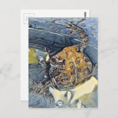 American Toad Digital Painting Postkarte (Vorne/Hinten)