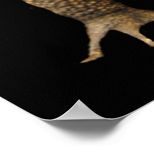 American Toad Earth Day Poster (Ecke)