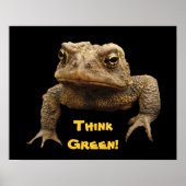 American Toad Earth Day Poster (Vorne)